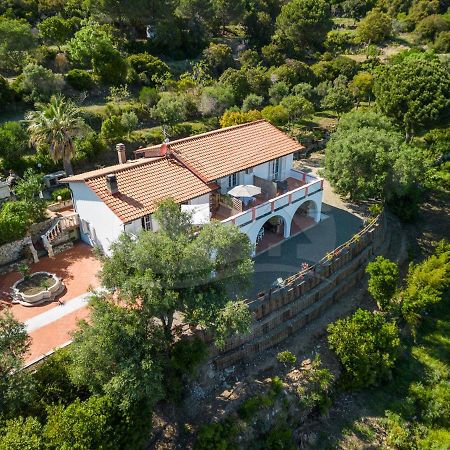 La Palazzina Nel Verde - Goelba Casa Alzi Exterior foto