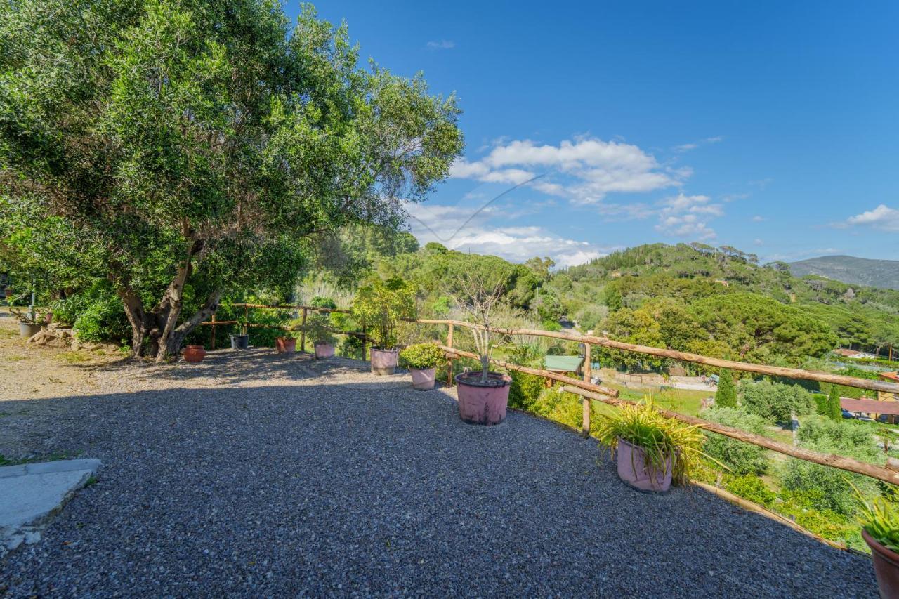 La Palazzina Nel Verde - Goelba Casa Alzi Exterior foto